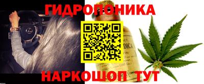 стафф Славянск-на-Кубани
