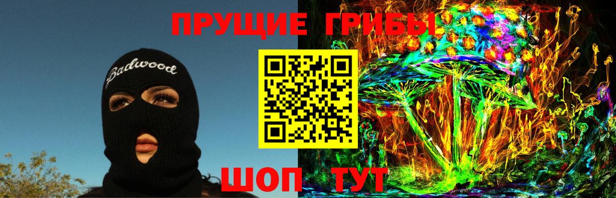 Псилоцибиновые грибы Cubensis Псков